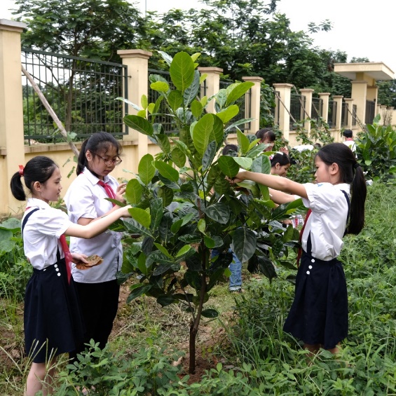 Cộng đồng mạng thi nhau kể chuyện cây xanh và câu chuyện về một chiến dịch ý nghĩa